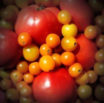 Market tomatoes Stock Illustration