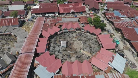 Market Toraja Stock Footage 323105957