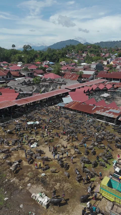 Market Toraja 스톡 동영상 323105994