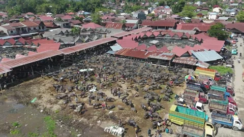 Market Toraja 스톡 동영상 323106016