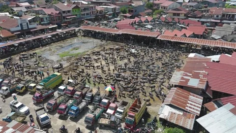 Market Toraja 스톡 동영상 323106792