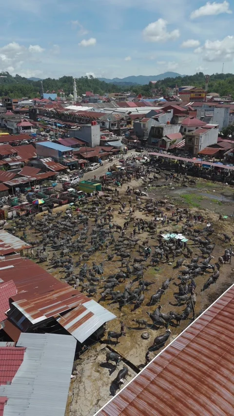 Market Toraja 스톡 동영상 323106800