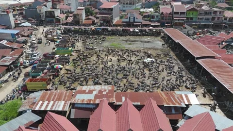 Market Toraja 스톡 동영상 323106934