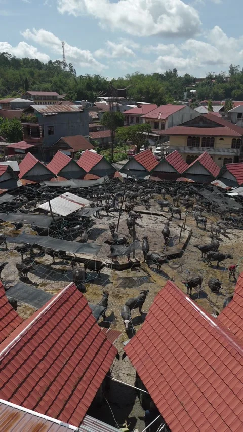 Market Toraja 스톡 동영상 323107156