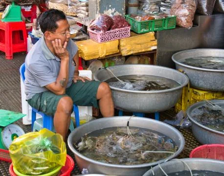 Live maggot larvae in a man's hand. Food for fish. The concept of