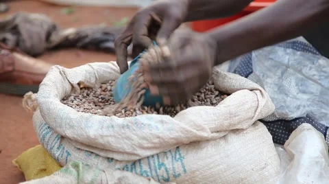 Market Uganda beans Vídeos de archivo 50519968
