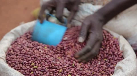 Market Uganda scooping beans Video stock 50519979