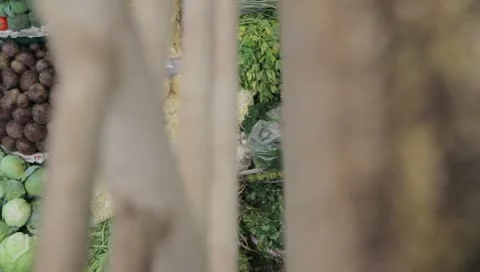 MARKET-VEGETABLES Video stock 10716765