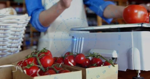 Market vendor woman reaching into trays and picking tomatoes, placing on scale, Stock Footage 322706371