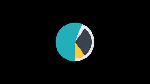Marketing Report Pie Chart Animation Stock Footage 316713169