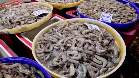 Marketplace Shrimp Selection Process Stock Footage 295466402