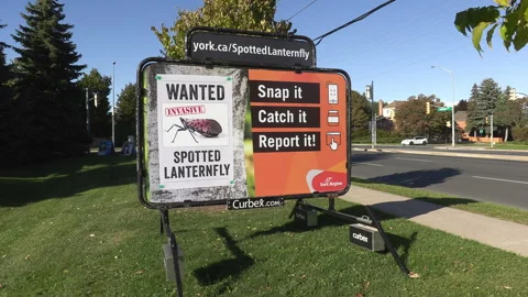 Markham, On, Oct 15 2025 Signs warning of invasive species and insects in city Stock Footage 318962004