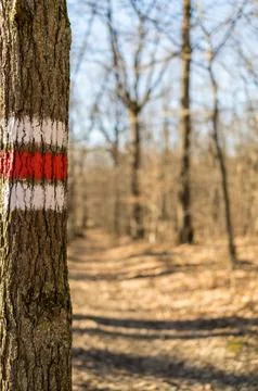 Marking of a hiking trail Stock Photos
