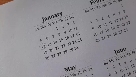 Marking January date on the calendar Stock Footage 295469711