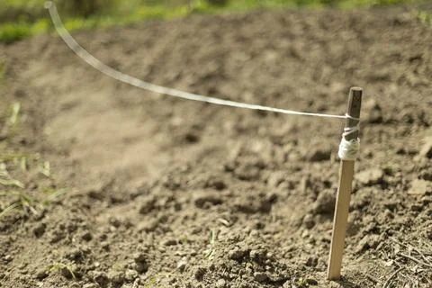 Marking of land plot. Thread is stretched above ground. Boundary of planting. Fotos de archivo