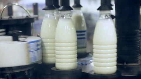 Marking milk bottles at food factory. Dairy industry. Food plant. Milk factory Stock Footage