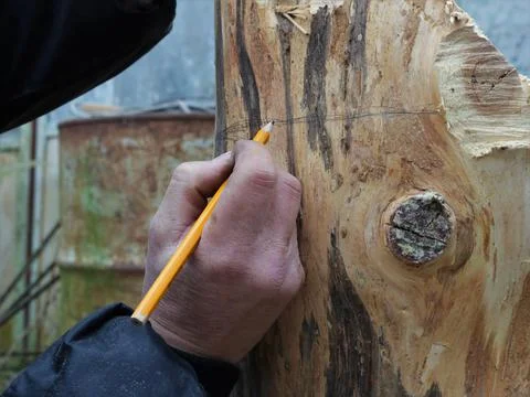 Marking on the surface of the solid wood by the hand of a carpenter Stock Photos