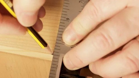 Marking Timber Stock Footage 11019100