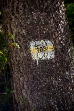 Marking the tourist path on a tree Stock Photos