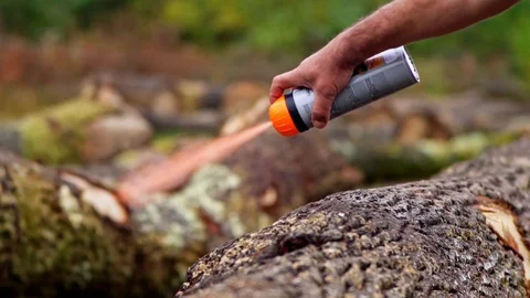 Marking Tree Log with Red Spray Wood Worker Logger Logging  Vídeo Stock 128491095