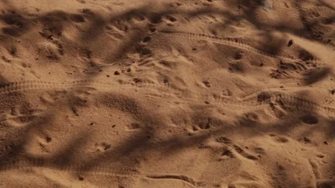 Marks in the desert sand 스톡 동영상 152310658