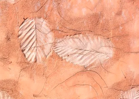 Marks of leaf Stock Photos