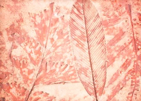 Marks of leaf Stock Photos