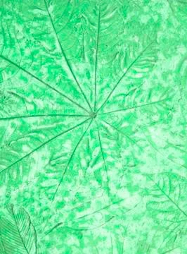 Marks of leaf Stock Photos