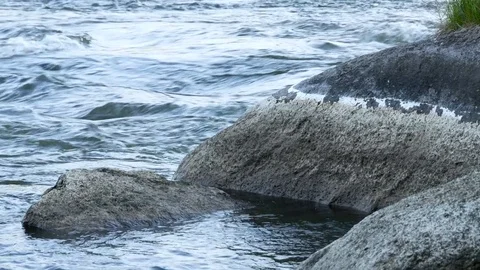 Marks on the stones - water lever falling Stock Footage 81189886