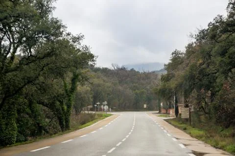 Markup on the road. Photos