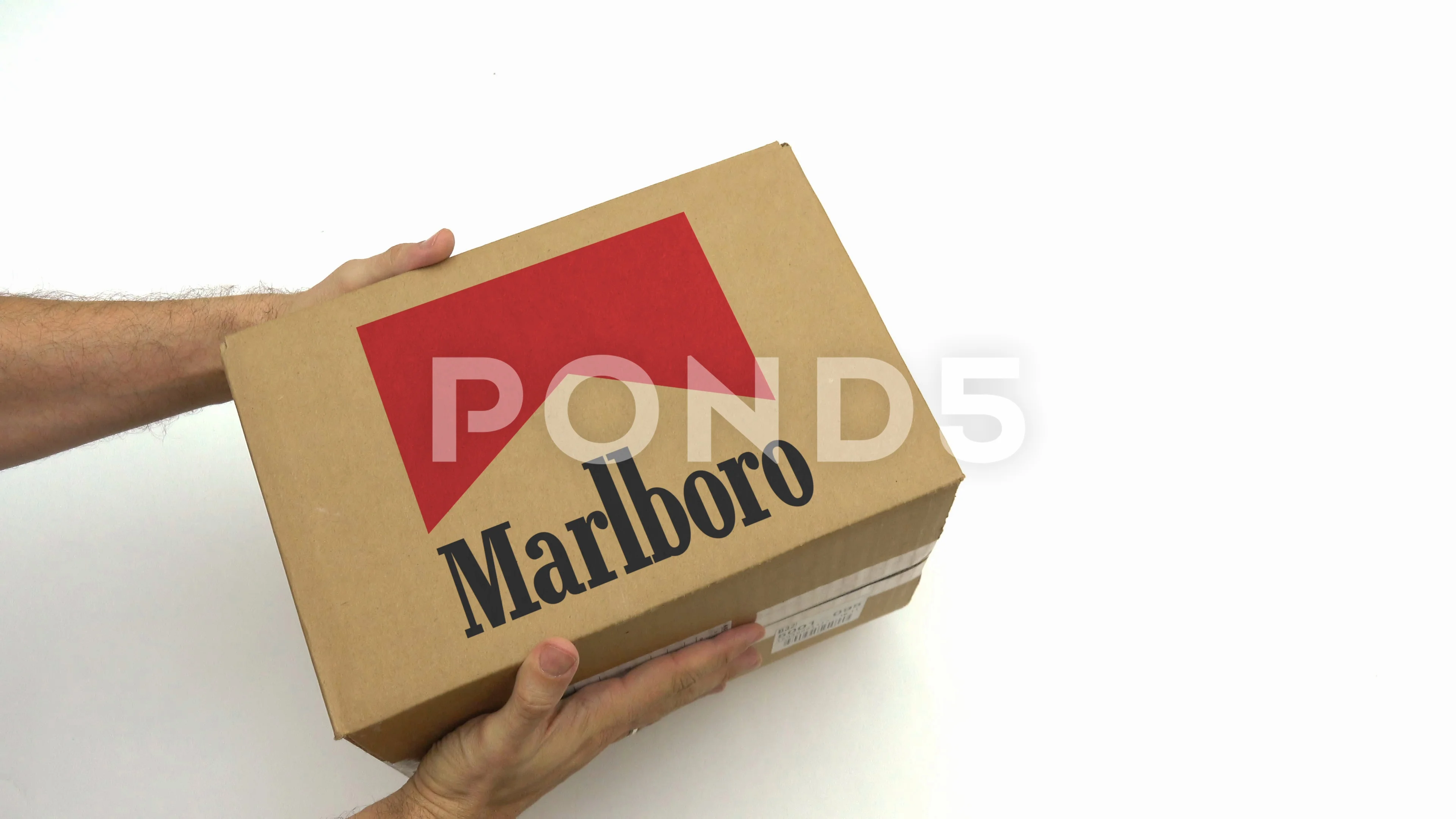 Marlboro Logo PNG Transparent Images Free Download | Vector Files | Pngtree