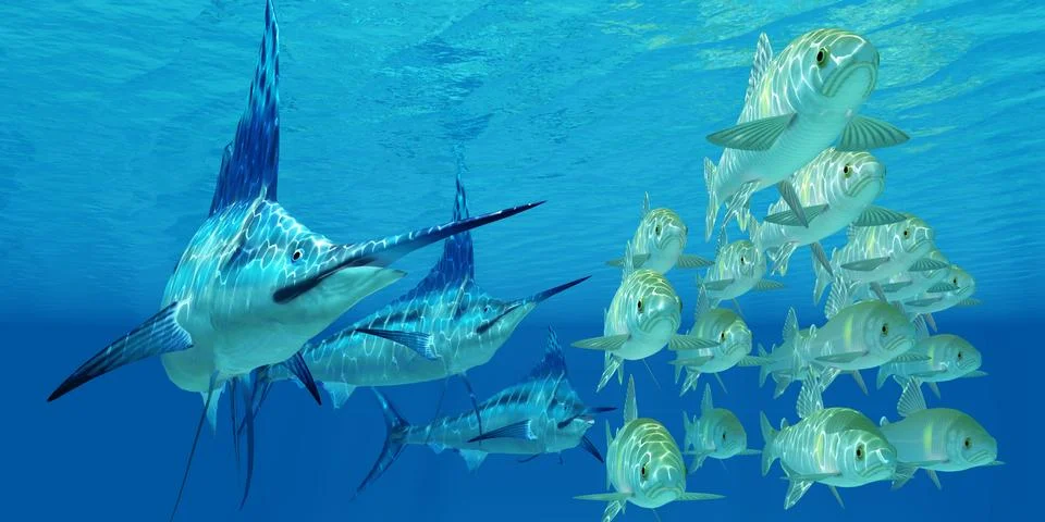 Marlin attack Ayu Fish Stock Illustration