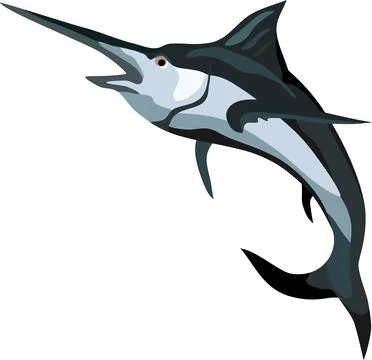 Marlin Fish Animal Stock Illustration
