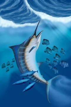 Marlin fish Stock Illustration
