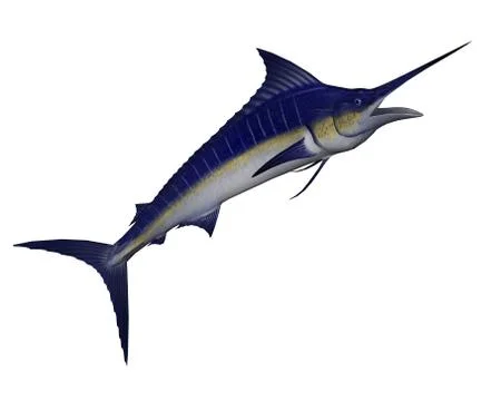 Marlin fish jump - 3D render Stock Illustration