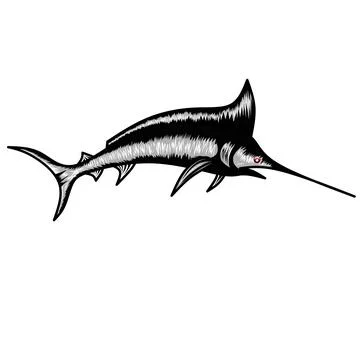 Marlin fish vector illustration Stock Illustration