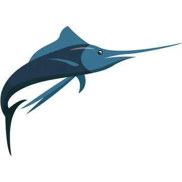 Marlin fish vector illustration isolated on white 스톡 일러스트