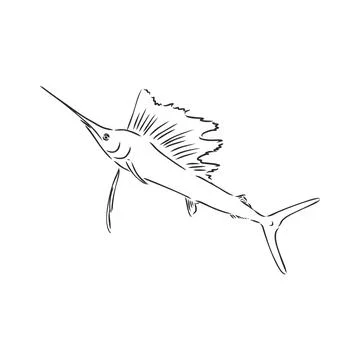 Marlin, swordfish zentangle stylized, vector, illustration, freehand pencil,  스톡 일러스트