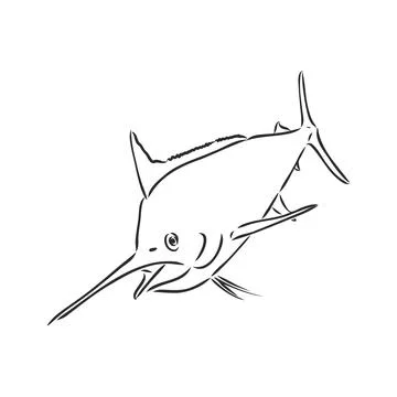 Marlin, swordfish zentangle stylized, vector, illustration, freehand pencil,  Stock Illustration