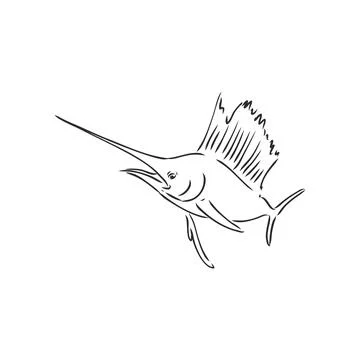 Marlin, swordfish zentangle stylized, vector, illustration, freehand pencil,  Stock Illustration