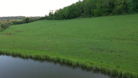 Marlow twisted road Stock Footage 310025334