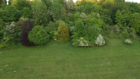 Marlow twisted road Stock Footage 310025364