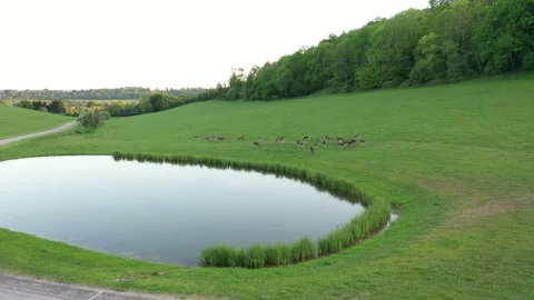 Marlow twisted road Stock Footage 310025381