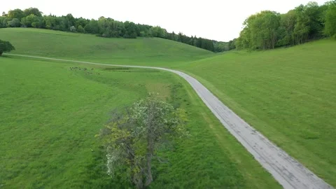 Marlow twisted road Stock Footage 310025385