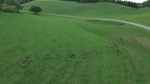 Marlow twisted road Stock Footage 310025411