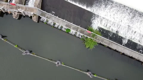 Marlow Weir Video stock 170793008