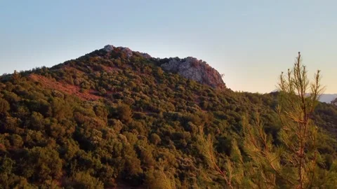 Marmaris Mountain Landscape with Pine Trees at Sunset, Turkey Stock Footage 318116801