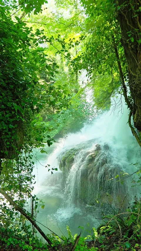 Marmore Waterfalls surrounded by dense summer vegetation Stock Footage 328005336