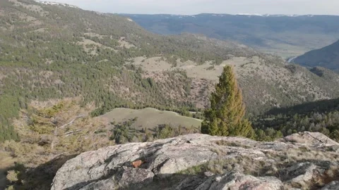Marmot on mountain peak from drone Stock Footage 166423291