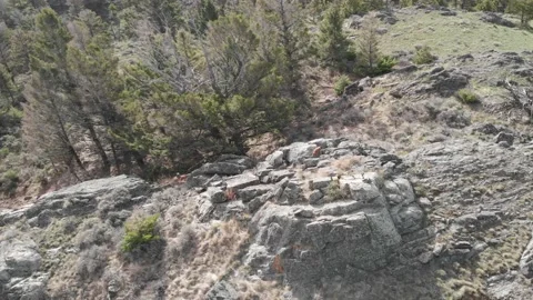 Marmot on mountain peak Stock Footage 166423597